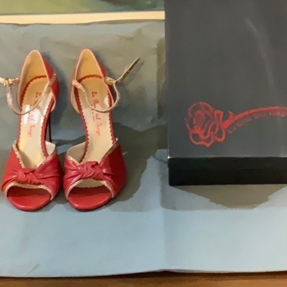 `Italian Tango Shoes Size 8